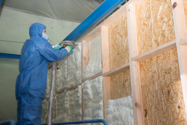 Best Cellulose Insulation  in Hewlett, NY