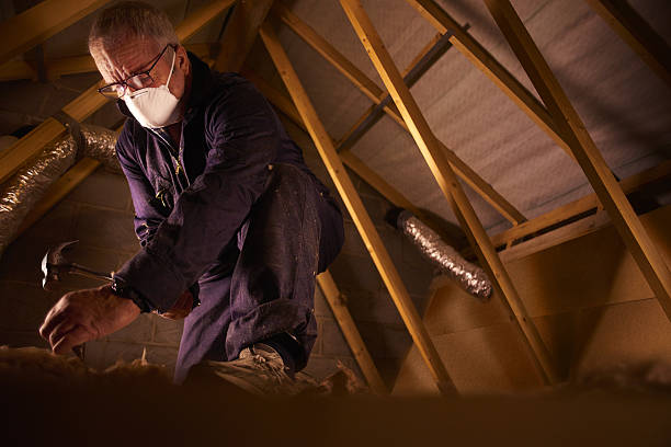 Best Insulation Removal  in Hewlett, NY